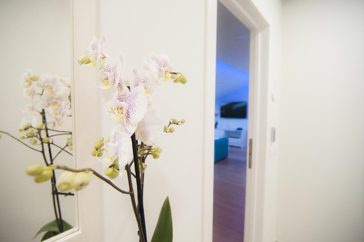 Los Rodeos Luxury Vivienda Vacacional La Laguna  Bagian luar foto